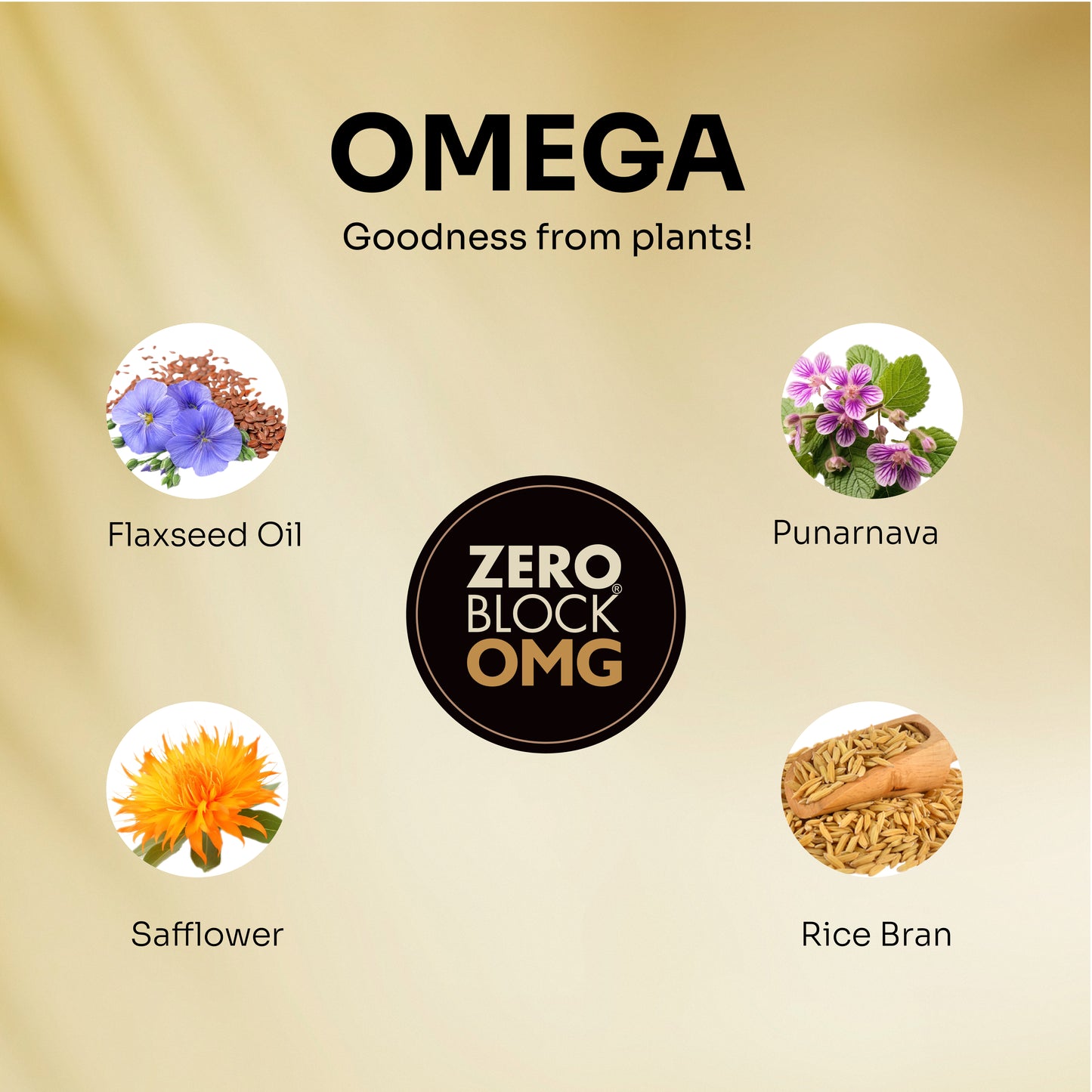 ZERO BLOCK OMG (60 capsules x 1000mg)